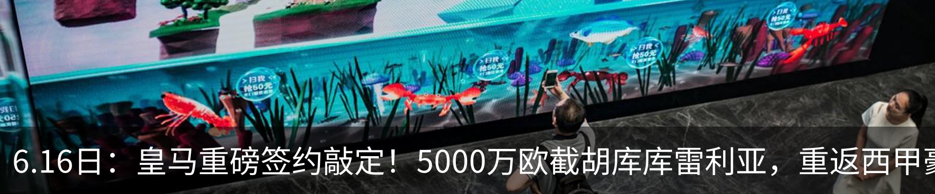 新闻动态